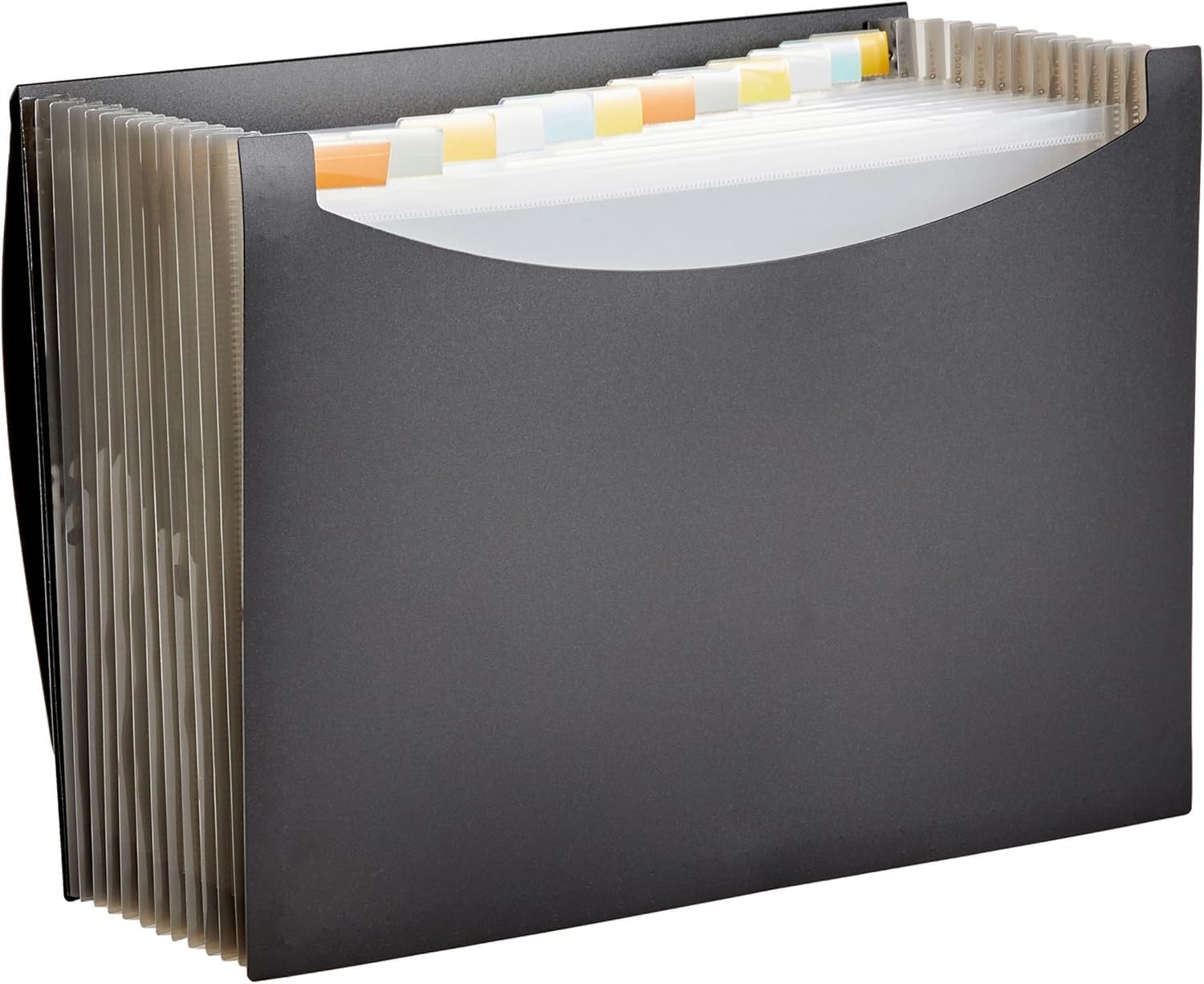 Expandable accordion file caregivers use to sort a parent's key dementia-care documents during the first sweep